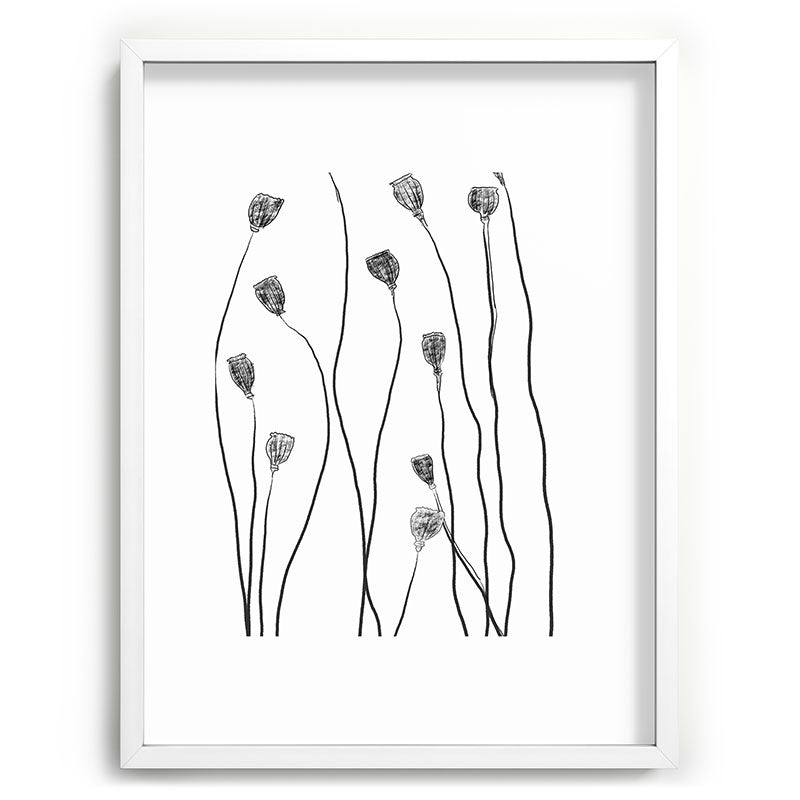 A group of poppy heads Framed Art Print