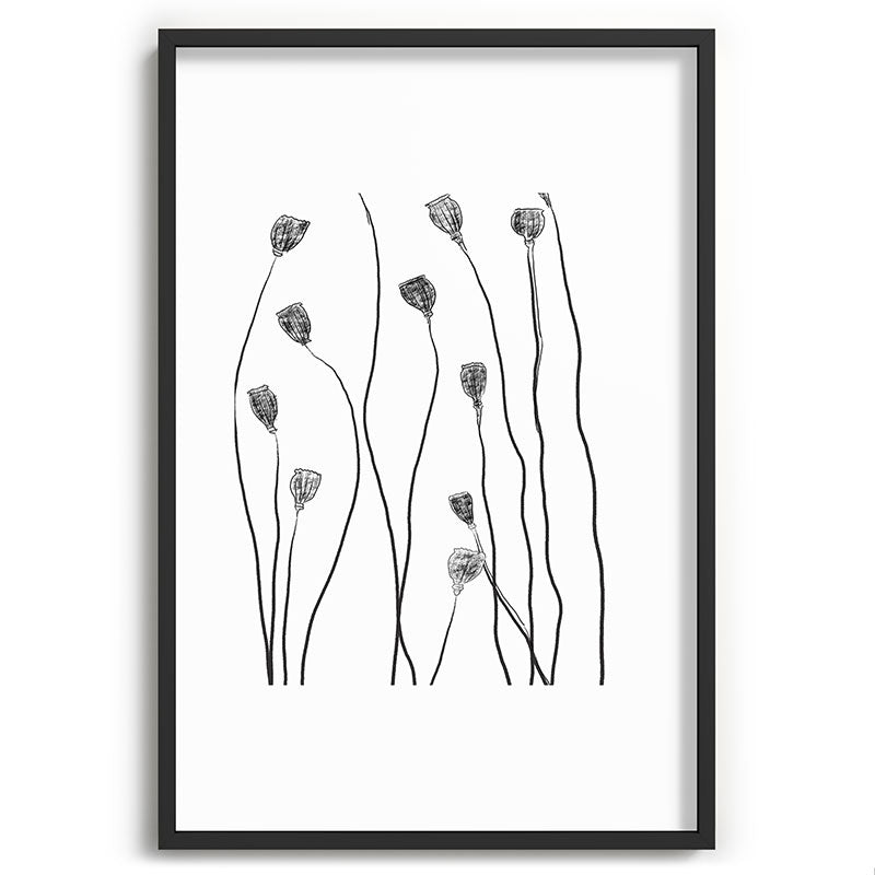 A group of poppy heads Framed Art Print