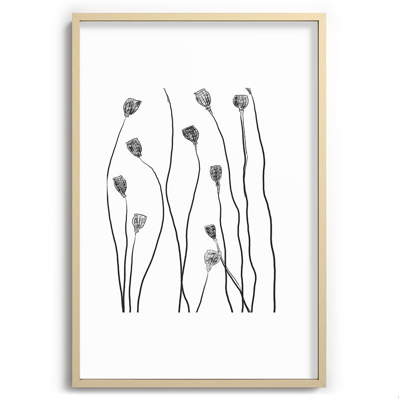 A group of poppy heads Framed Art Print