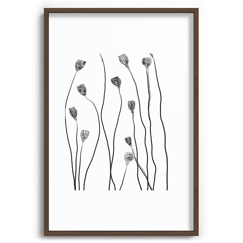 A group of poppy heads Framed Art Print