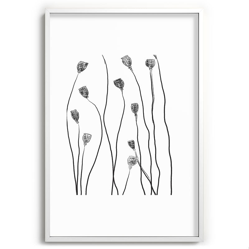 A group of poppy heads Framed Art Print