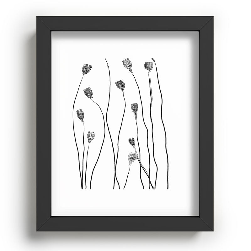 A group of poppy heads Framed Art Print