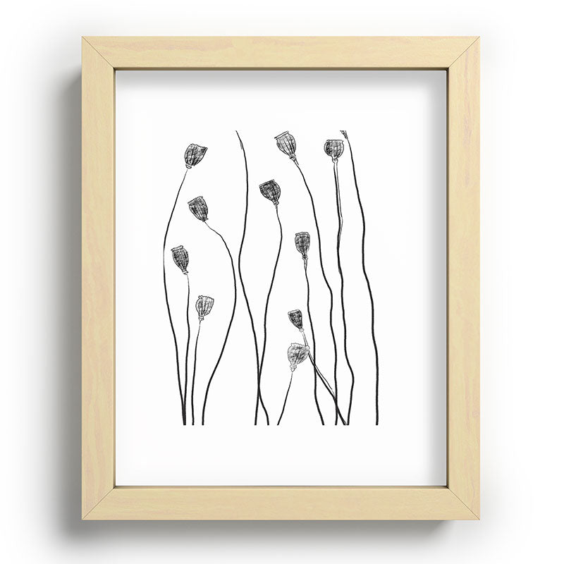 A group of poppy heads Framed Art Print