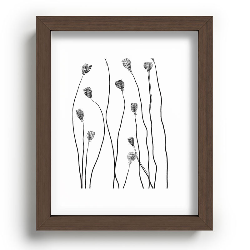 A group of poppy heads Framed Art Print