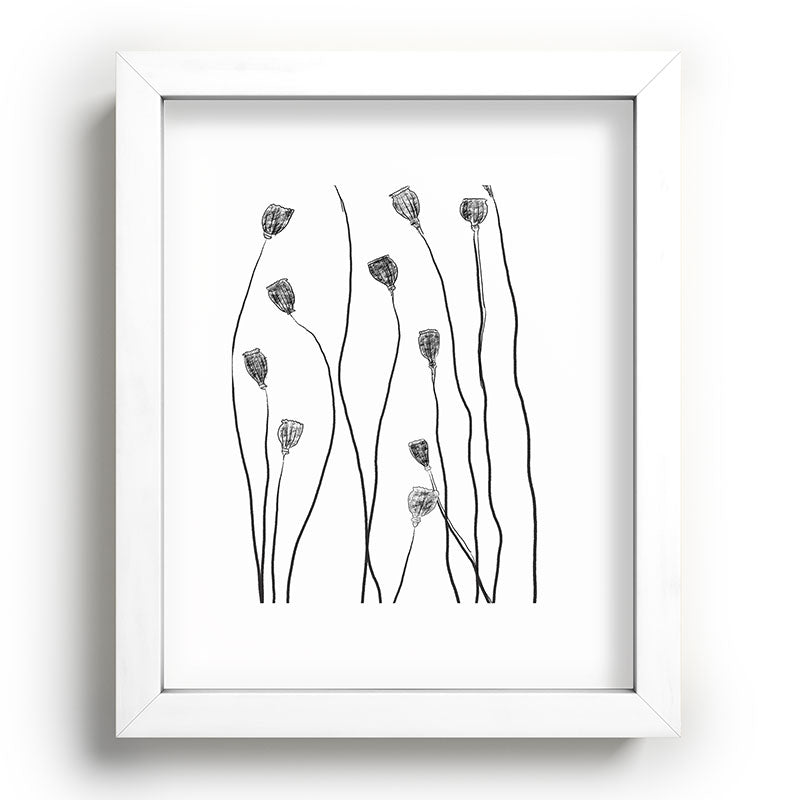 A group of poppy heads Framed Art Print