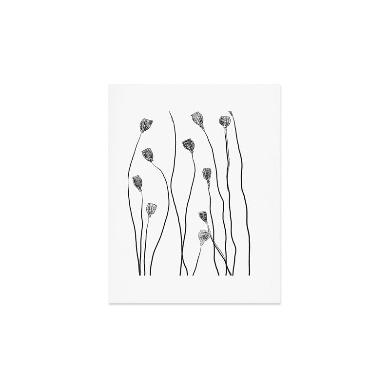 A group of poppy heads Art Print