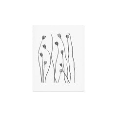 A group of poppy heads Art Print