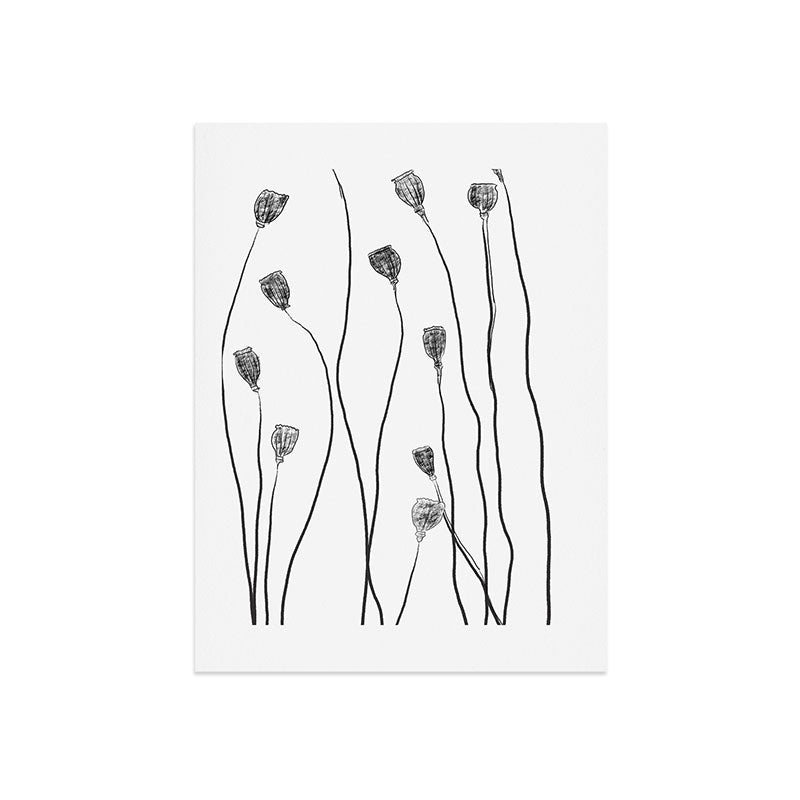A group of poppy heads Art Print