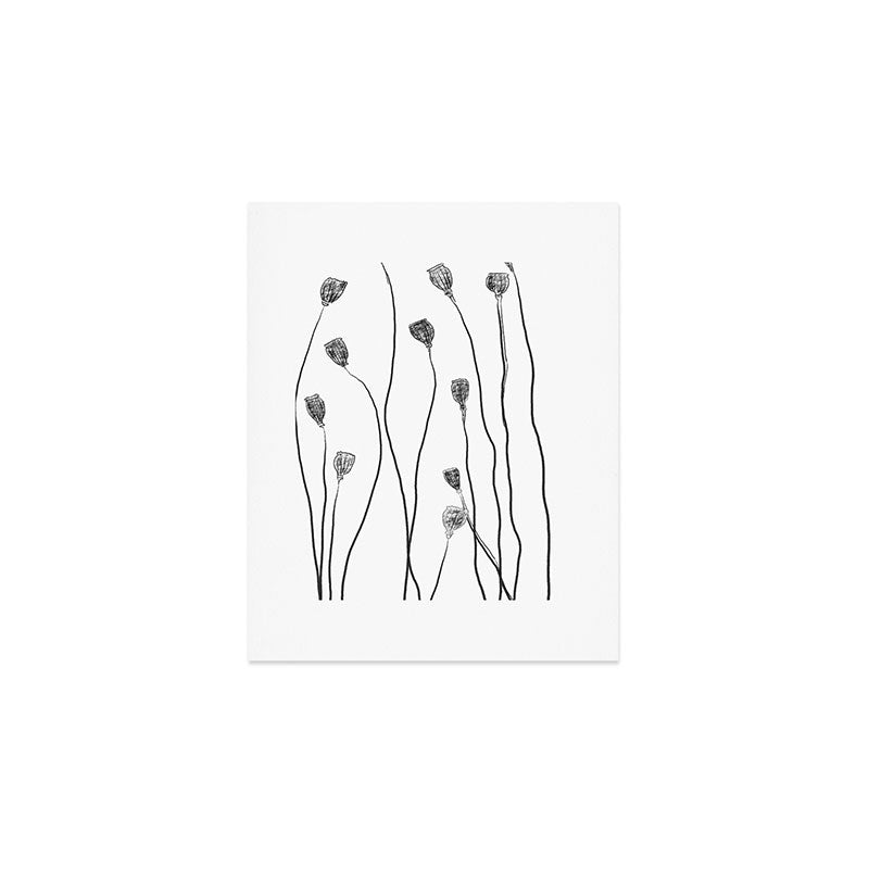 A group of poppy heads Art Print