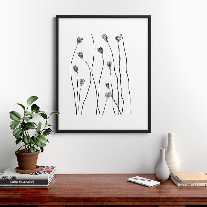 A group of poppy heads Framed Art Print