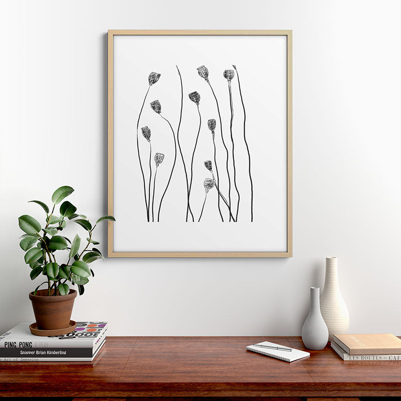 A group of poppy heads Framed Art Print