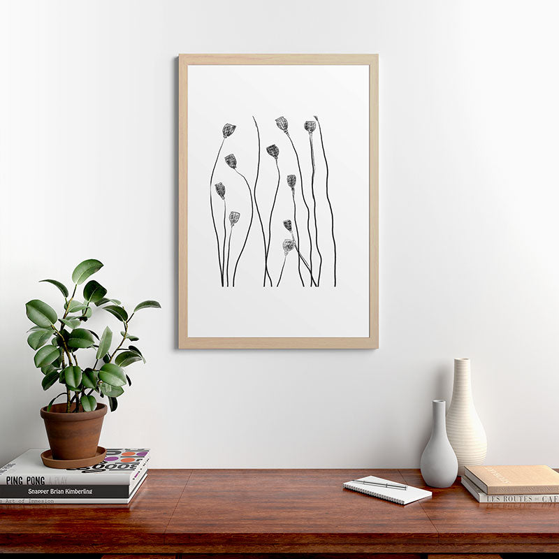 A group of poppy heads Framed Art Print
