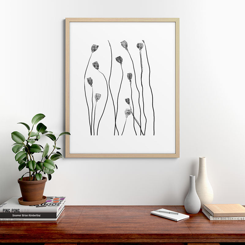 A group of poppy heads Framed Art Print