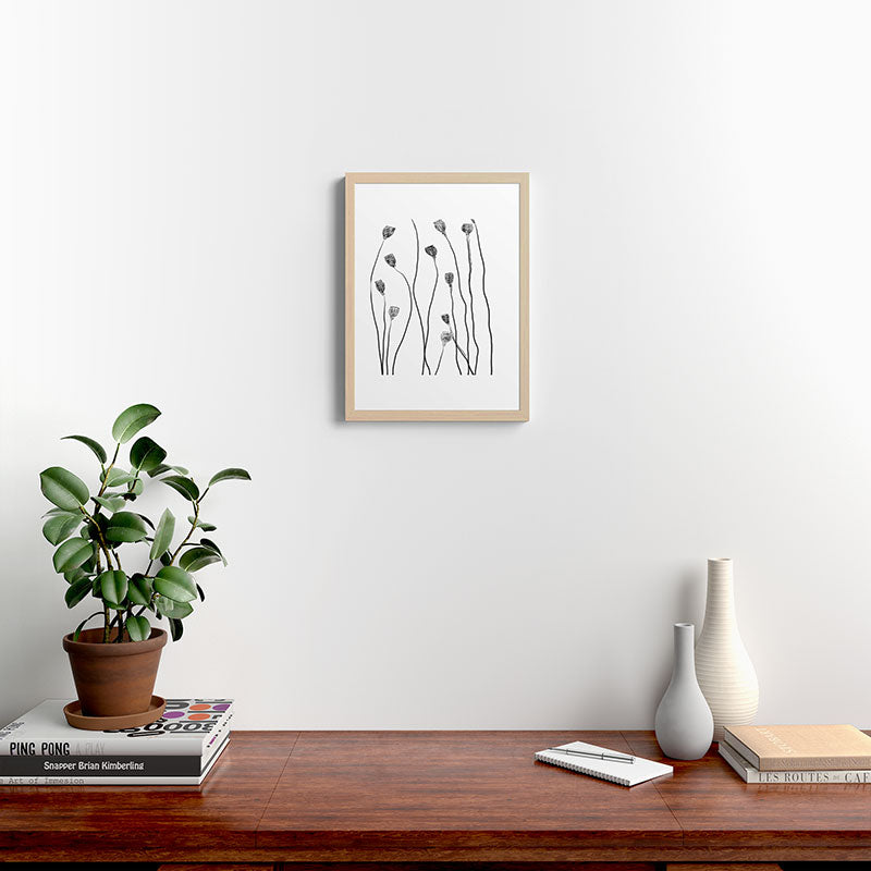 A group of poppy heads Framed Art Print