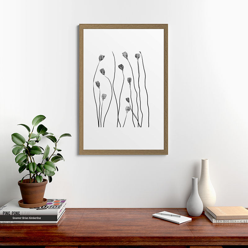 A group of poppy heads Framed Art Print
