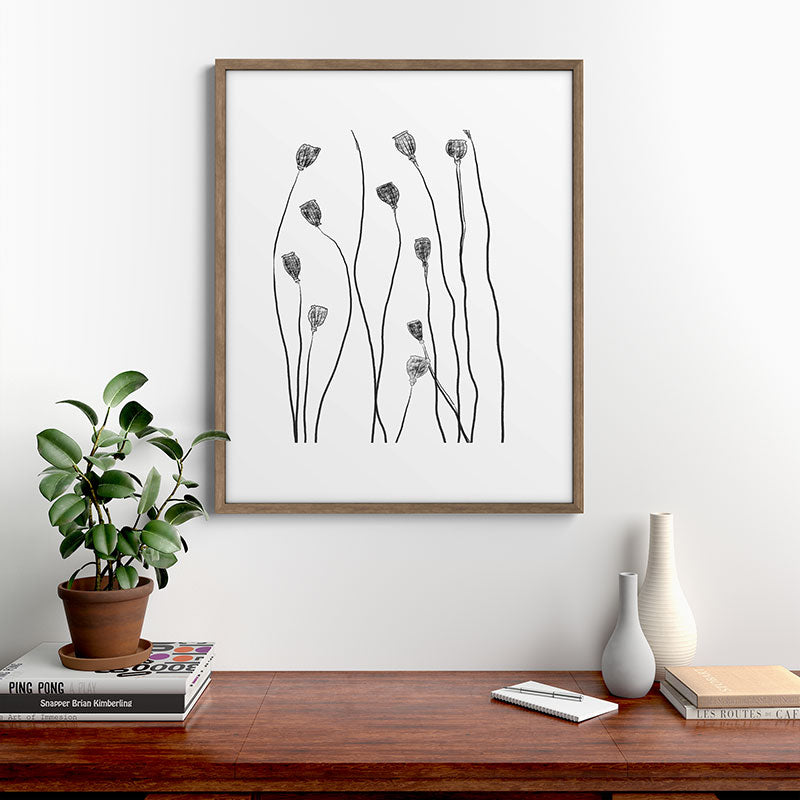 A group of poppy heads Framed Art Print