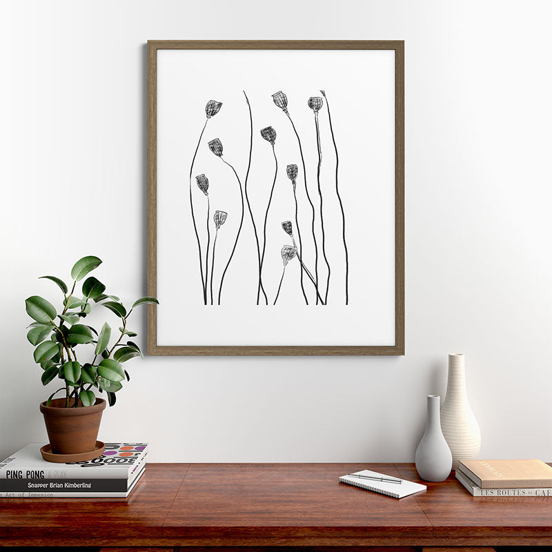 A group of poppy heads Framed Art Print