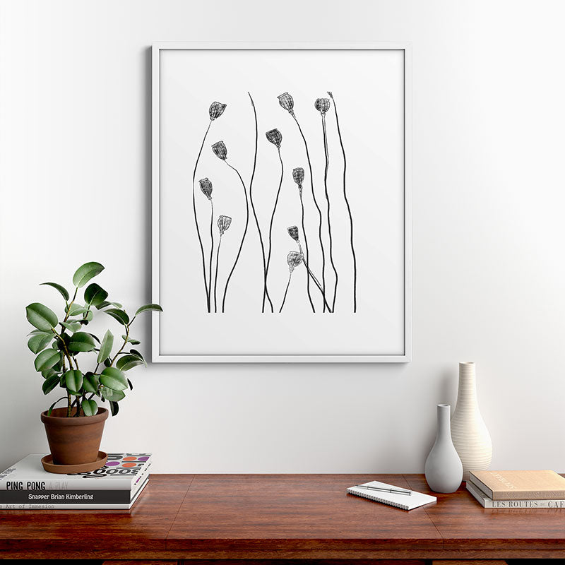 A group of poppy heads Framed Art Print