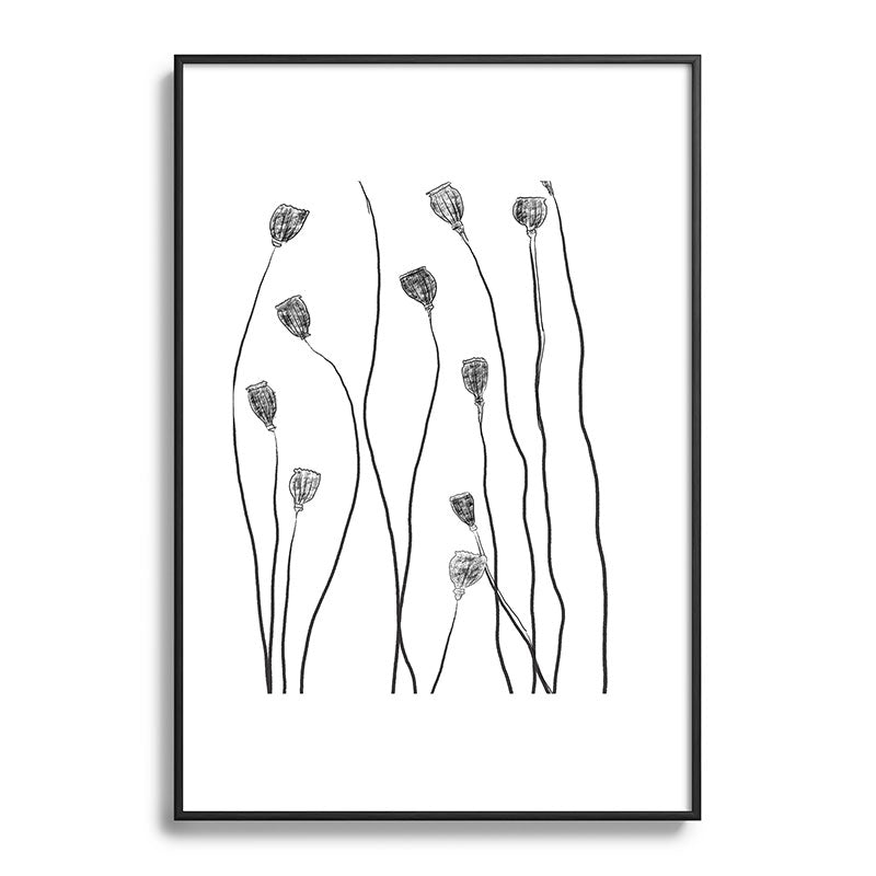 A group of poppy heads Framed Art Print