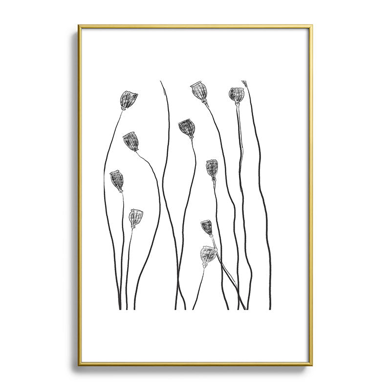 A group of poppy heads Framed Art Print