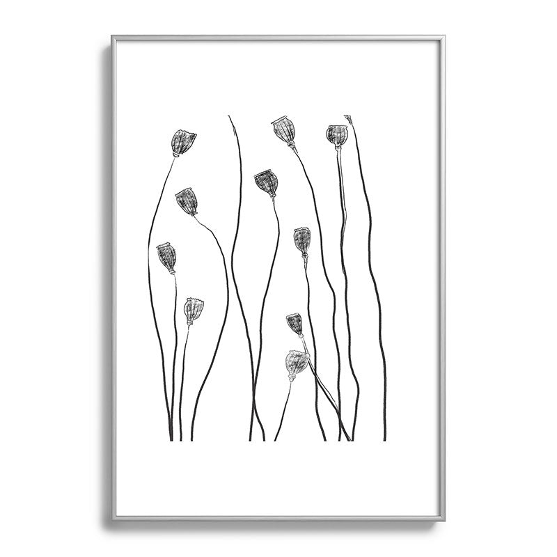 A group of poppy heads Framed Art Print