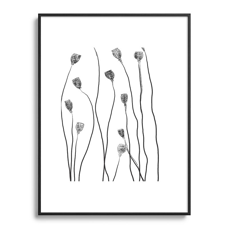 A group of poppy heads Framed Art Print