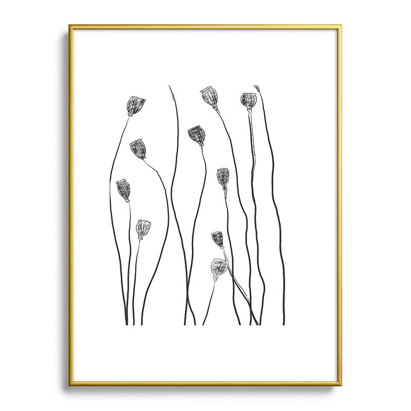 A group of poppy heads Framed Art Print