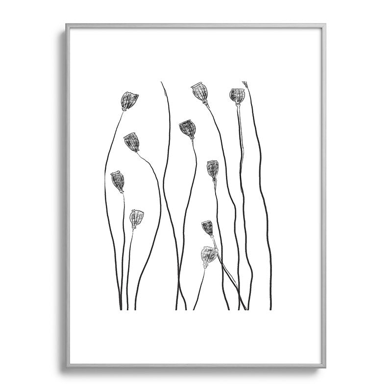 A group of poppy heads Framed Art Print