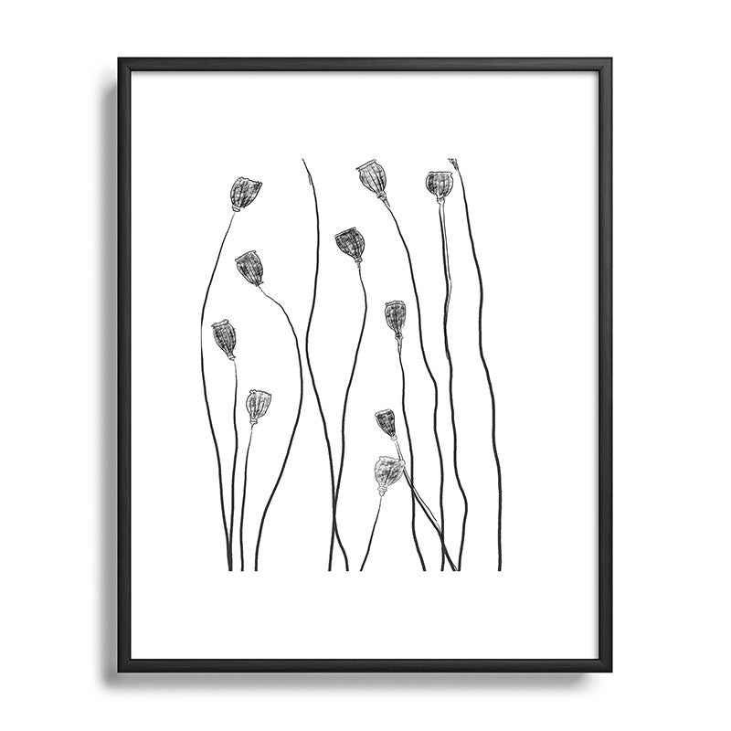 A group of poppy heads Framed Art Print
