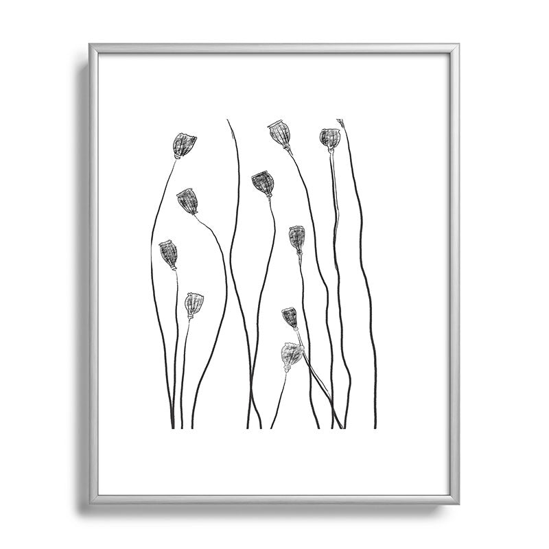 A group of poppy heads Framed Art Print
