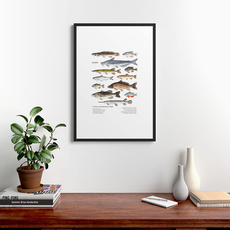 A Few Freshwater Fish Framed Art Print