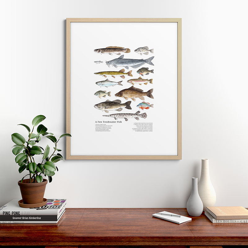 A Few Freshwater Fish Framed Art Print