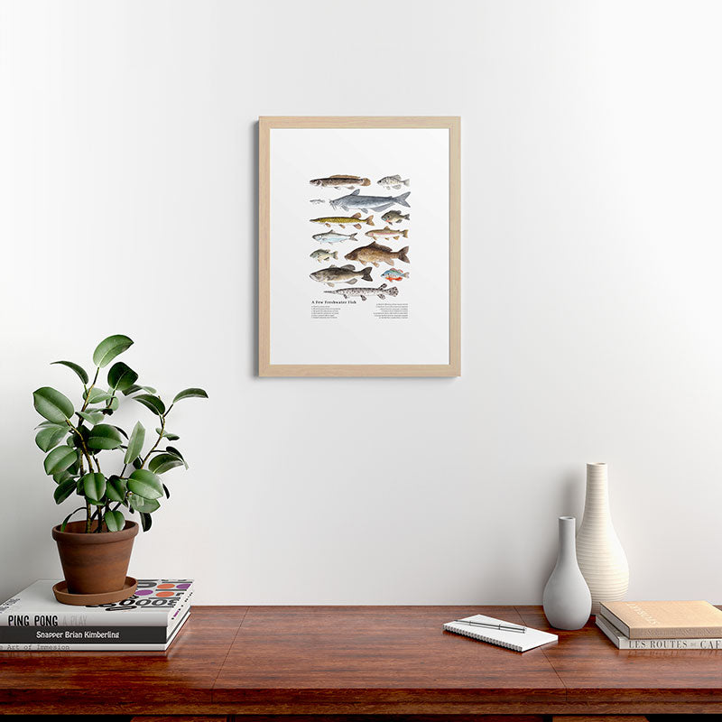 A Few Freshwater Fish Framed Art Print