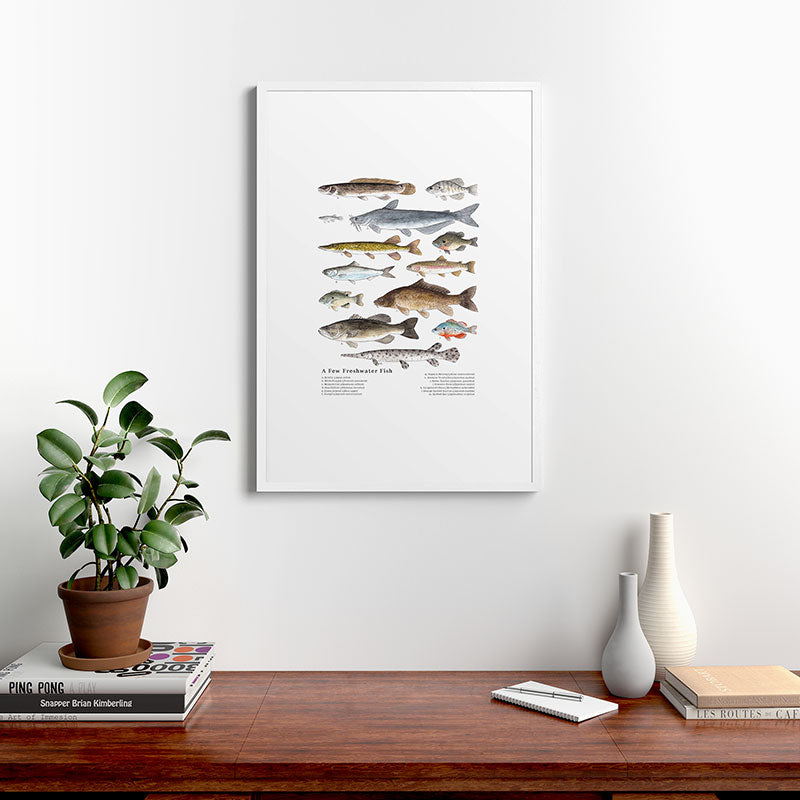 A Few Freshwater Fish Framed Art Print