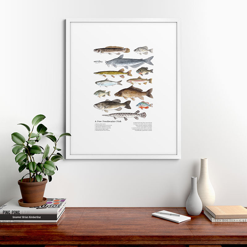 A Few Freshwater Fish Framed Art Print