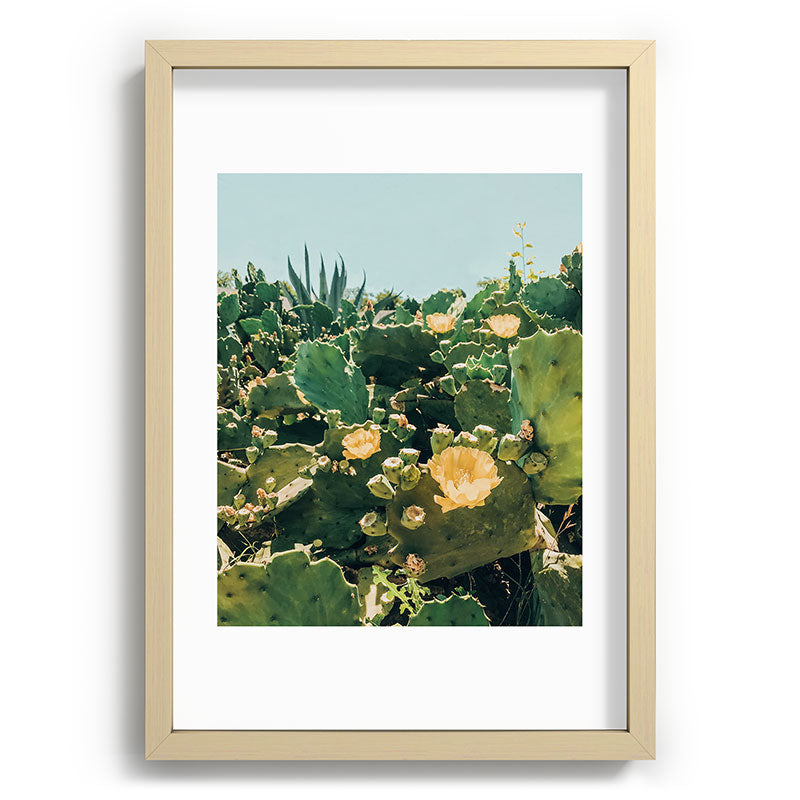 A Field of Prickly Pear Cactus Framed Art Print