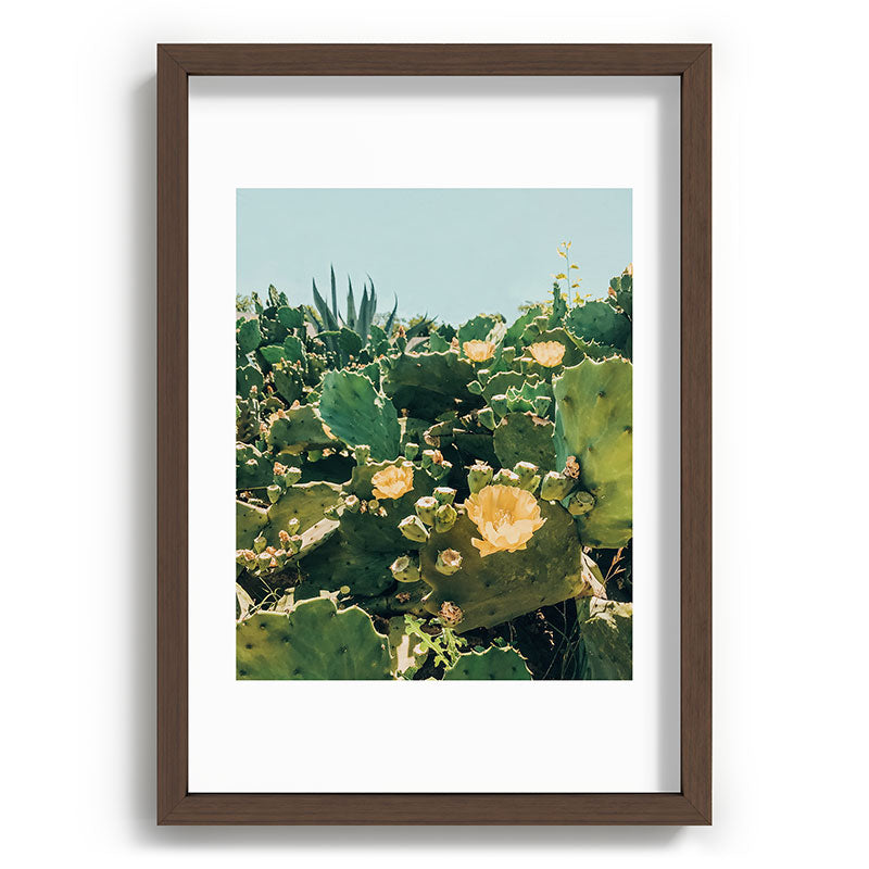 A Field of Prickly Pear Cactus Framed Art Print