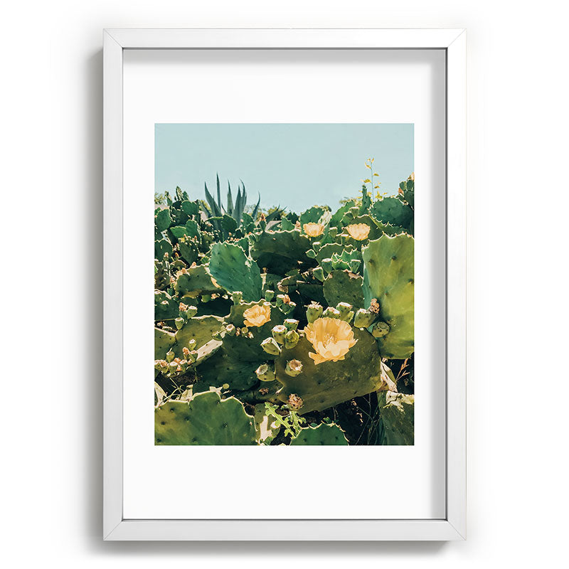 A Field of Prickly Pear Cactus Framed Art Print