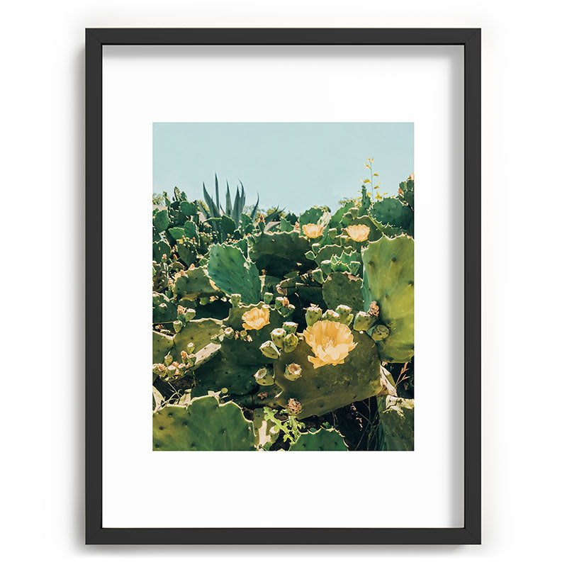 A Field of Prickly Pear Cactus Framed Art Print
