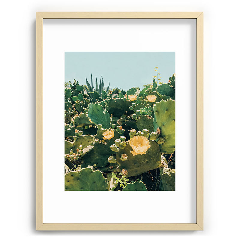 A Field of Prickly Pear Cactus Framed Art Print