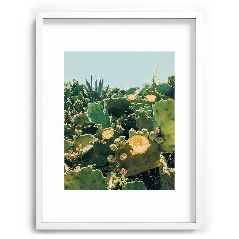A Field of Prickly Pear Cactus Framed Art Print