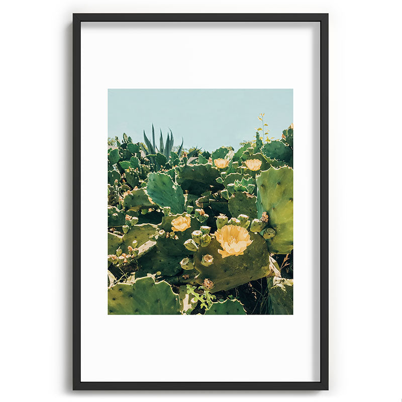 A Field of Prickly Pear Cactus Framed Art Print