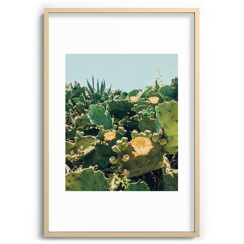 A Field of Prickly Pear Cactus Framed Art Print