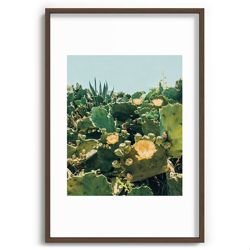 A Field of Prickly Pear Cactus Framed Art Print