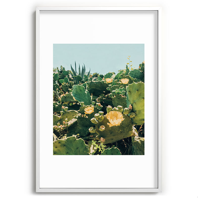 A Field of Prickly Pear Cactus Framed Art Print