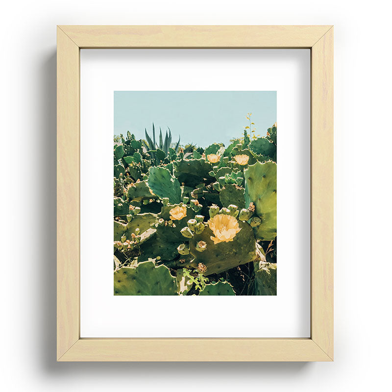 A Field of Prickly Pear Cactus Framed Art Print