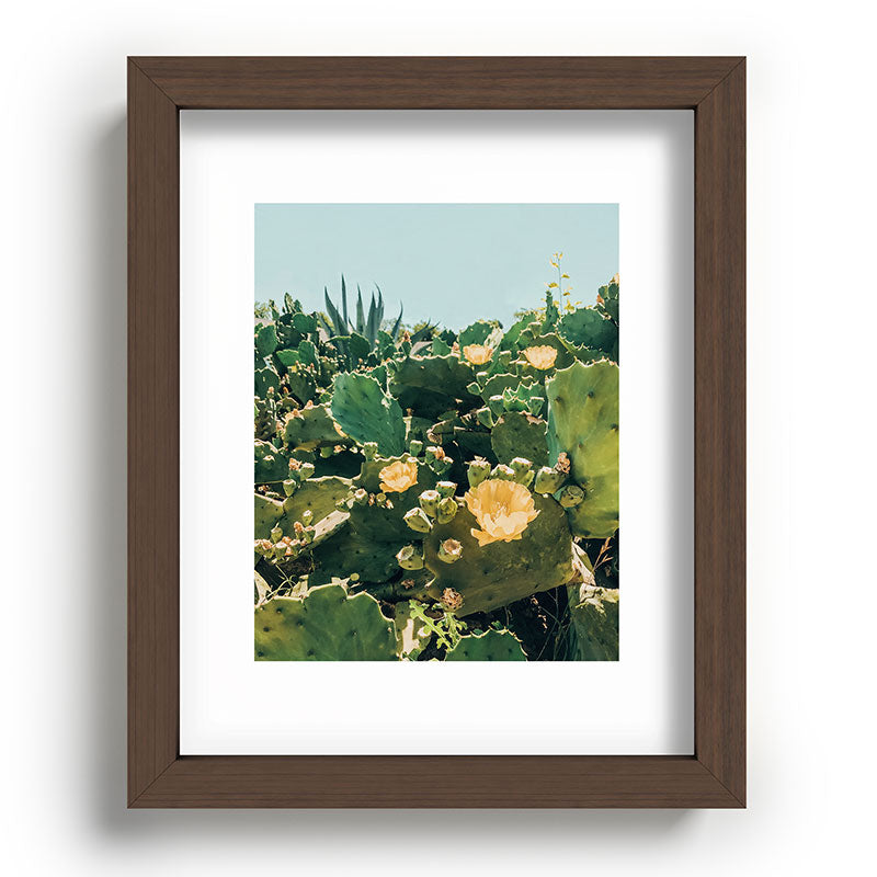 A Field of Prickly Pear Cactus Framed Art Print