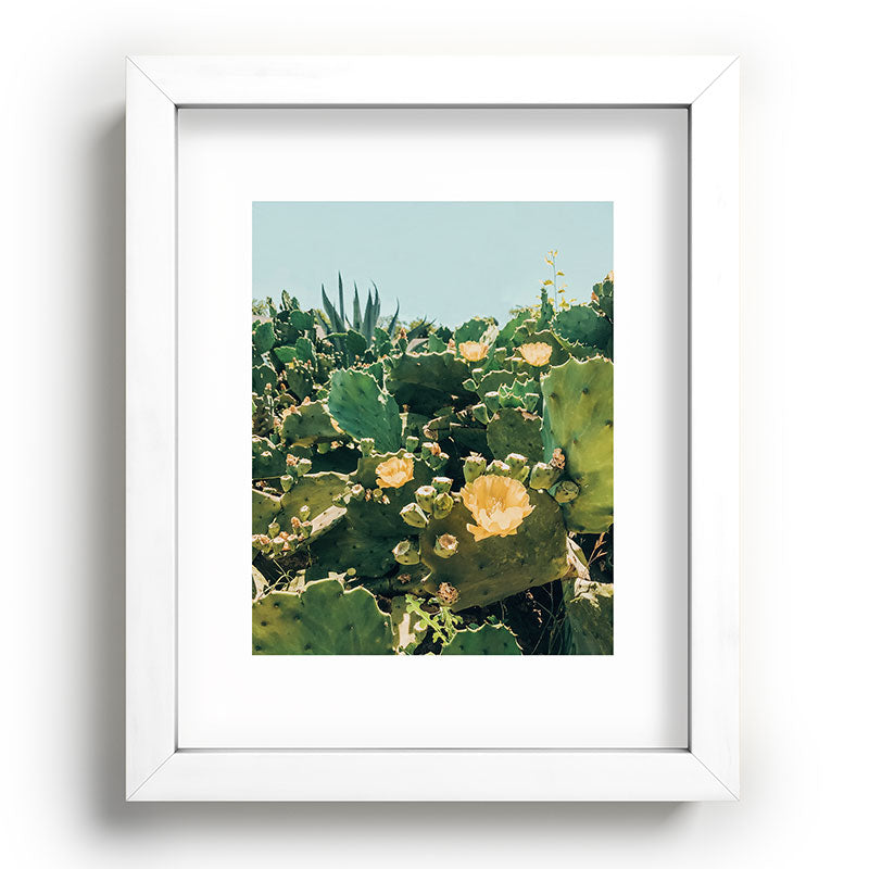 A Field of Prickly Pear Cactus Framed Art Print