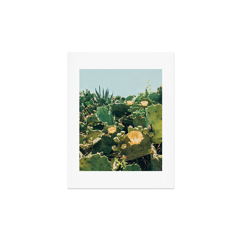 A Field of Prickly Pear Cactus Art Print