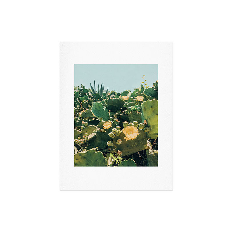 A Field of Prickly Pear Cactus Art Print